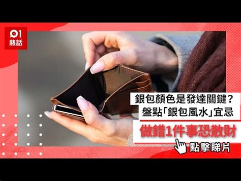 白色銀包 風水|銀包顏色是發達關鍵？盤點6個「銀包風水」宜忌 做。